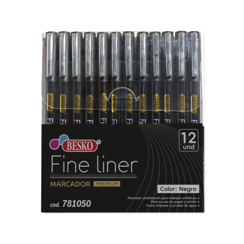 Plumones Estilógrafos X12 Besko